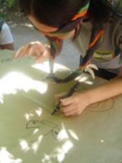 Route RS 2006 009.jpg